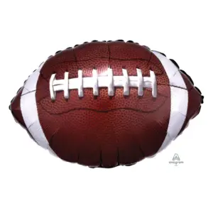 18" Championship Football